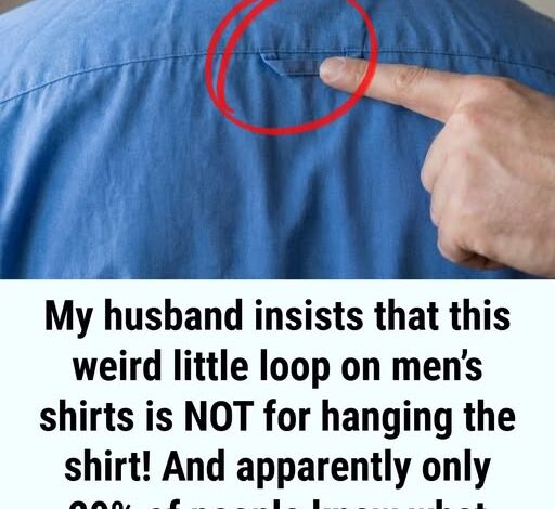 Why Button-Down Shirts Feature a Loop on the Back!